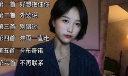 女老歌手被爆料视频大全,一场网络风波的反思