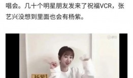 圈内吃瓜爆料 杨紫,娱乐圈的“瓜王”新宠，揭秘她的星途历程